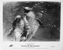 The Day of the Dolphin Longsleeve T-shirt #2128530