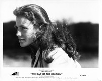 The Day of the Dolphin Poster 2128531