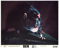 Ben Mouse Pad 2129693