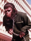 Conquest of the Planet of the Apes Poster 2130026