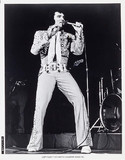 Elvis on Tour Mouse Pad 2130209