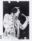 Elvis on Tour Tank Top #2130210