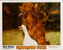 The Million Dollar Duck Canvas Poster