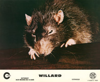 Willard Mouse Pad 2135657