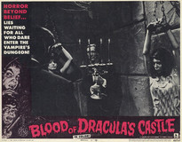 Blood of Dracula's Castle Wood Print