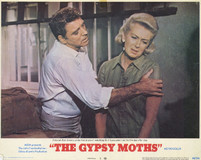 The Gypsy Moths Poster with Hanger