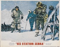 Ice Station Zebra Mouse Pad 2141892