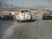 The Love Bug Poster 2143275