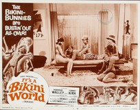 It's a Bikini World Poster with Hanger