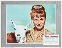 Tammy and the Millionaire Wooden Framed Poster