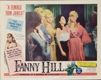 Fanny Hill pillow