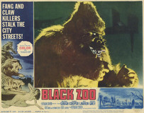 Black Zoo Poster 2155402