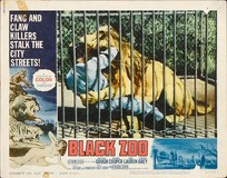 Black Zoo Poster 2155405