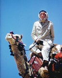 Lawrence of Arabia Sweatshirt #2158439