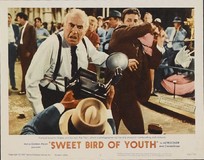 Sweet Bird of Youth Wooden Framed Poster