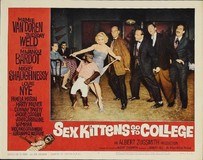 Sex Kittens Go to College pillow