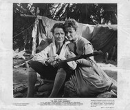 Swiss Family Robinson Poster 2163812