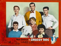 The Shaggy Dog kids t-shirt #2167078