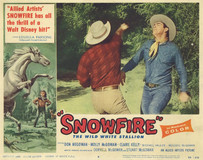 Snowfire Wooden Framed Poster