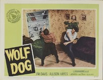 Wolf Dog poster