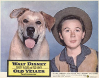 Old Yeller Poster 2171581