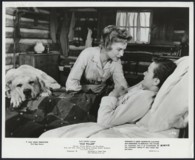 Old Yeller Poster 2171594