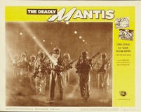 The Deadly Mantis tote bag #