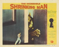 The Incredible Shrinking Man Poster 2172519