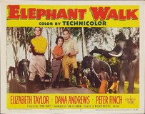 Elephant Walk Poster 2179446