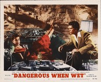Dangerous When Wet tote bag #