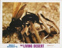 The Living Desert Metal Framed Poster