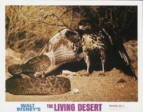 The Living Desert poster