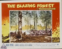 The Blazing Forest t-shirt