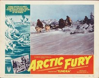 Arctic Fury tote bag