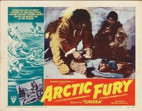 Arctic Fury tote bag