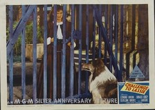 Challenge to Lassie Wooden Framed Poster