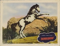 Thunderhoof Metal Framed Poster