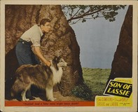 Son of Lassie Poster 2198070