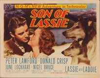 Son of Lassie tote bag #