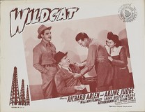 Wildcat Metal Framed Poster