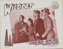Wildcat Canvas Poster
