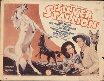 Silver Stallion Canvas Poster