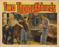 Two Thoroughbreds Wooden Framed Poster