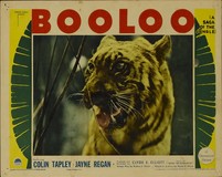 Booloo Poster 2210134