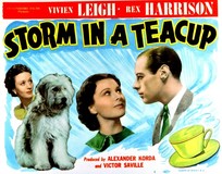 Storm in a Teacup Wooden Framed Poster