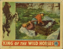 King of the Wild Horses pillow