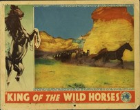 King of the Wild Horses Canvas Poster