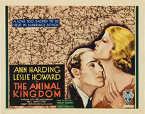 The Animal Kingdom Wooden Framed Poster
