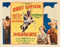 Wild Horse Metal Framed Poster