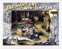 The Night Cry poster
